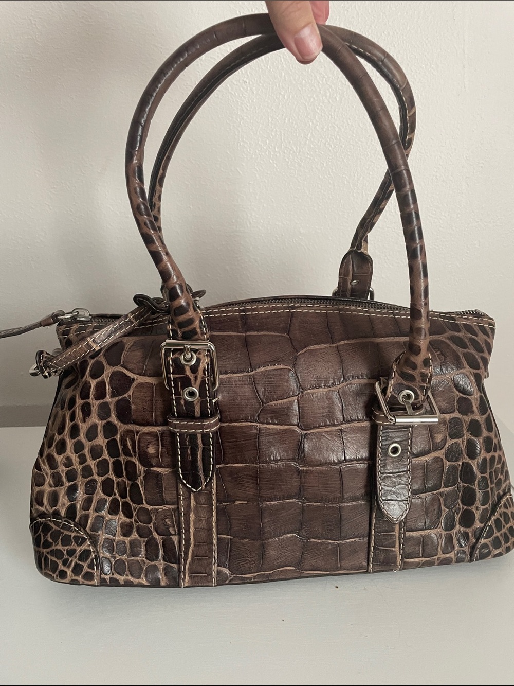 Dooney & Bourke Brown Croc-Embossed Satchel